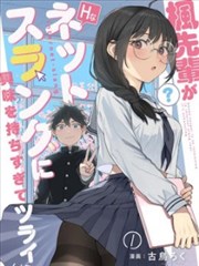 针脚与线头同人志漫画再录本封面